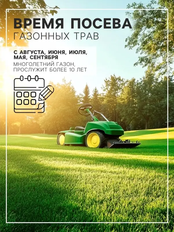 Газон универсальный &laquo;Зеленый квадрат&raquo;, 1 кг