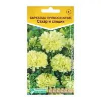 Семена Цветов Бархатцы прямостоячие Сахар и Специи, 0,1 г Семена Цветов Бархатцы прямостоячие Сахар и Специи, 0,1 г