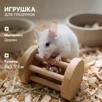 Игрушка для грызунов, погрызушка &laquo;Погремушка&raquo;, 6&times;3.5 см