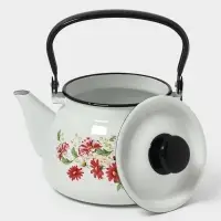 Чайник эмалированный &laquo;Астры&raquo;, 3 л, металлическая ручка, белый