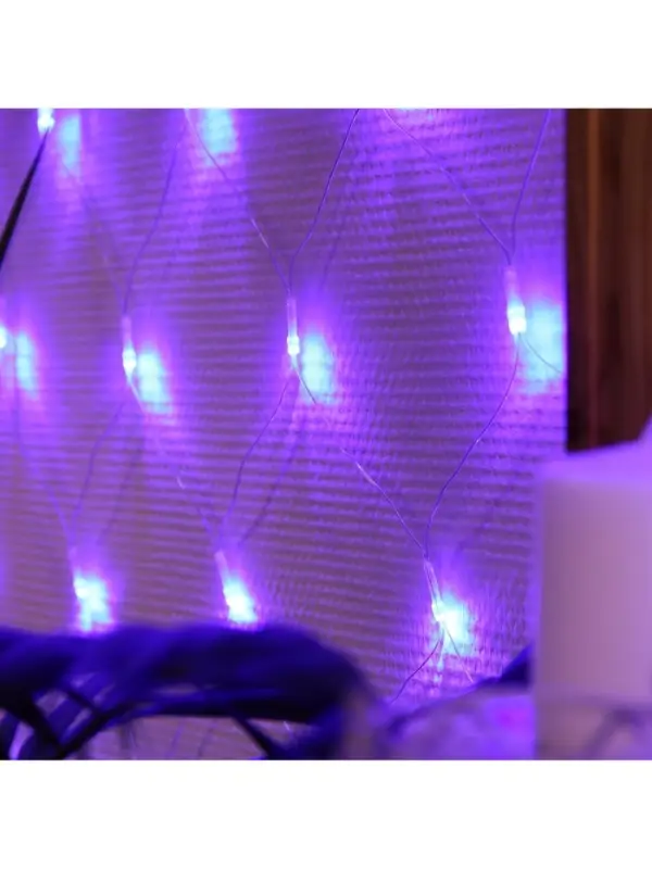 Гирлянда &laquo;Сеть&raquo; 1.6&times;1.6 м, IP20, прозрачная нить, 144 LED, 8 режимов, 220 В, свечение синее
