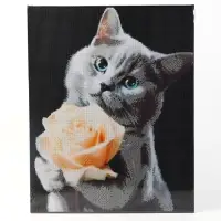Алмазная вышивка полное заполнение &laquo;Котенок с розой&raquo;, на раме, 40&times;50 см