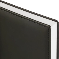 Ежедневник датированный 2026, черный,А5, 148х218 мм,352 стр,АТТАСНЕ Вива