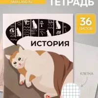 Предметная тетрадь по истории Calligrata &laquo;Животные мемы&raquo;, 36 листов, в клетку, со справочным материалом, обложка из мелованной бумаги
