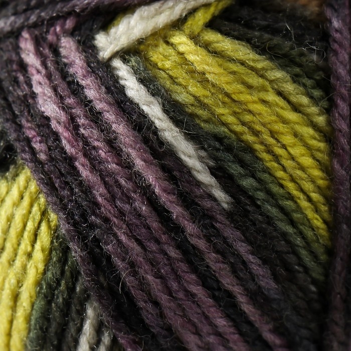 Пряжа  Пряжа "Crazy color" 25% шерсть, 75% акрил 260м/100гр (170)