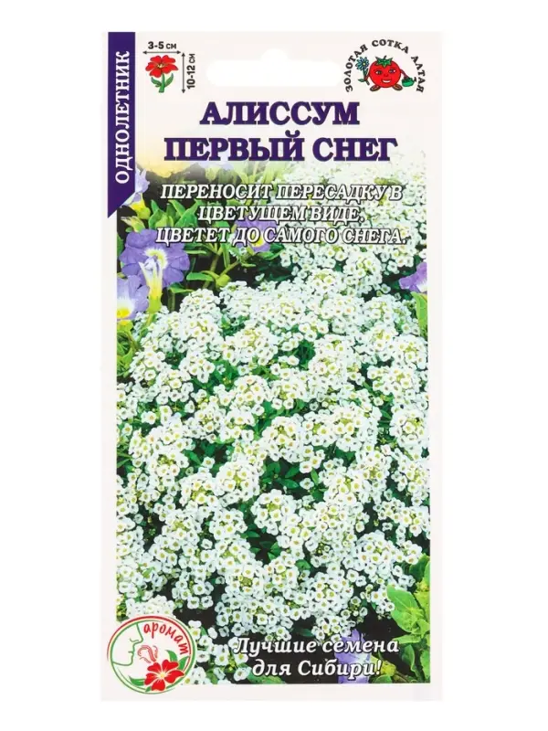 Семена Алиссум Первый снег белый /Сотка/ 0,05 г/*1500 Семена Алиссум Первый снег белый /Сотка/ 0,05 г/*1500