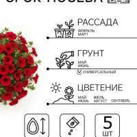Семена Цветов Петуния &laquo;Джоконда&raquo;, F1, пурпурная, драже в пробирке, 5 шт., &laquo;Агрофирма АЭЛИТА&raquo;
