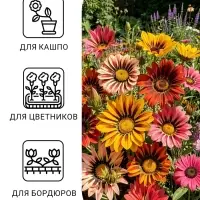 Семена цветов Гацания гибридная &laquo;Триада&raquo;, крупноцветковая, низкорослая, 0.05 г, &laquo;Гавриш&raquo;