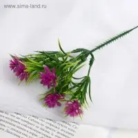 Букет искусственный «Эхеверия и листики», 18 см, МИКС