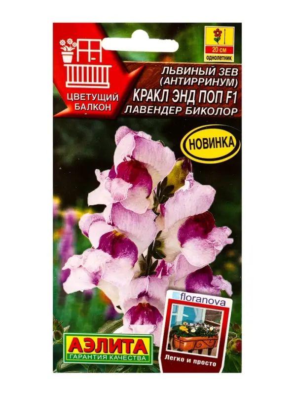 Семена цветов Львиный зев Кракл энд поп F1 лавендер биколор С. Floranova Цветущий балкон, Ц/П,7 шт.