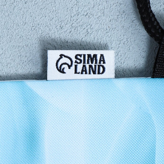 Мешок для обуви «Милый котик» 2 секции, 30×40 см Мешок для обуви «Милый котик» 2 секции, 30×40 см