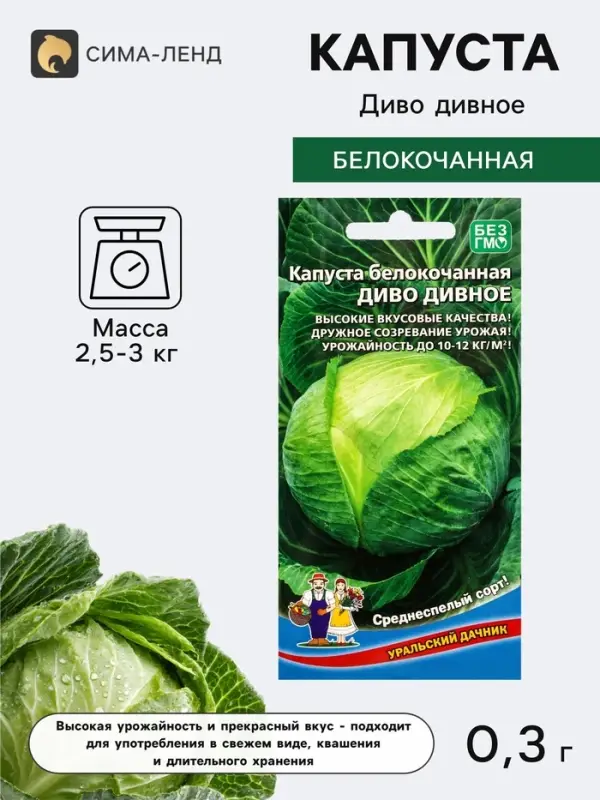 Семена Капуста белокочанная &laquo;Диво дивное&raquo; 0.3 г