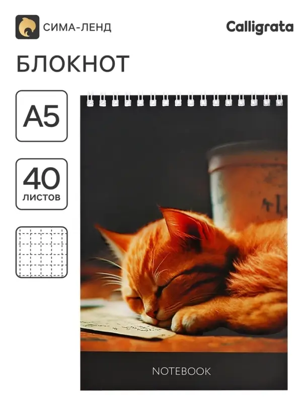Блокнот А5, 40 листов в клетку на гребне &laquo;Соня&raquo;, обложка мелованный картон, матовая ламинация, выборочный УФ-лак, блок офсет