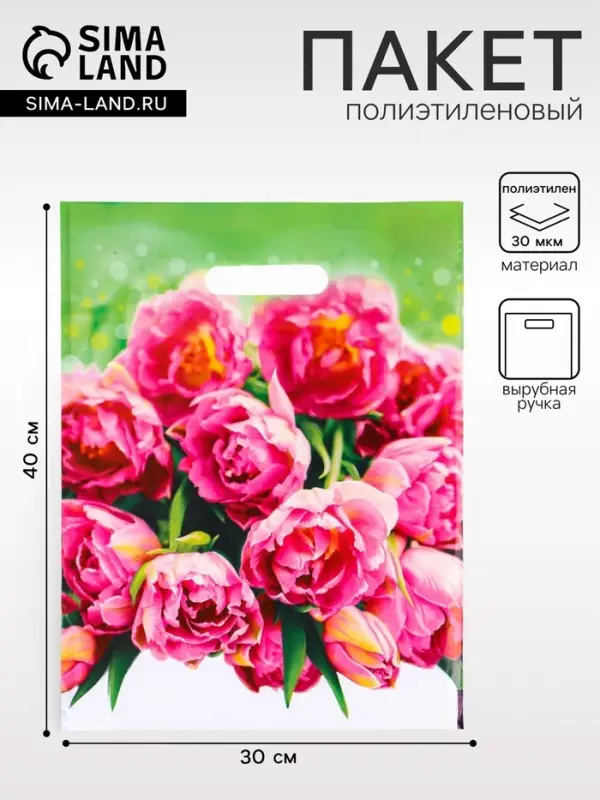 Пакет подарочный &laquo;Натюрель&raquo; полиэтиленовый с вырубной ручкой, 30&times;40 см, 30 мкм