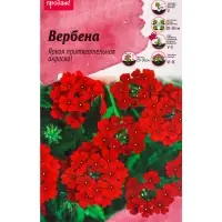 Семена цветов Вербена &laquo;Люцифер&raquo;, для бордюра, 0.05 г
