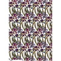 Бумага упаковочная FLORA.ИРИСЫ, 50 х 70 см (4 листа), 2-794/03