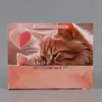 Пакет подарочный ламинированный горизонтальный &laquo;Котики&raquo;, 40&times;31&times;11.5 см