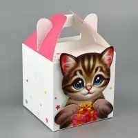 Подарочная коробка, упаковка «Котик» 10×10×10 см