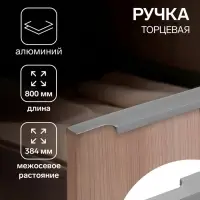 Ручка профильная мебельная торцевая CAPPIO RP100GR, L=800 мм, серая