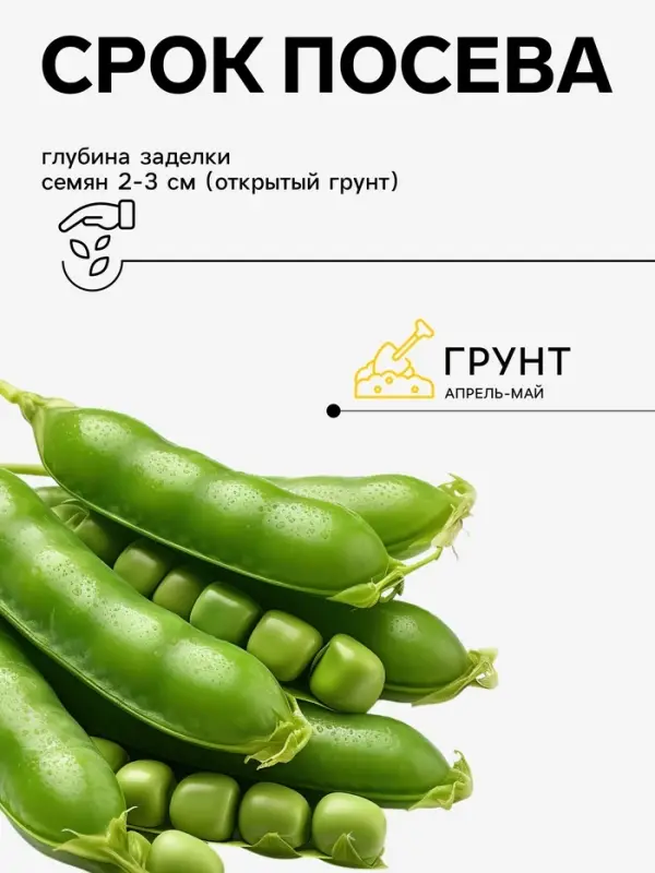 Семена Горох &laquo;Амброзия&raquo;, 500 г, сахарный, &laquo;Сембат&raquo;