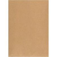 Пакет крафт В4стрип Multipack 250х353 100г 50шт/уп/5782