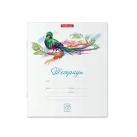 Тетрадь 18 листов в клетку, ErichKrause Birds, обложка мелованный картон, блок офсет 100% белизна, МИКС