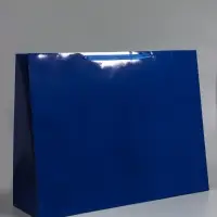 Пакет ламинированный горизонтальный "Синий", XXL 61 х 46 х 20 см Пакет ламинированный горизонтальный "Синий", XXL 61 х 46 х 20 см
