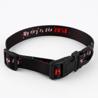Ошейник My dog is the best, застёжка - фастекс, 2 см 25-40 см