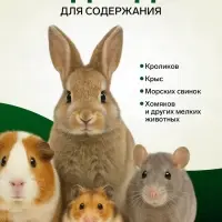 Сено луговое с крапивой резаной &laquo;Пижон&raquo; для грызунов, 20 л, 500 г