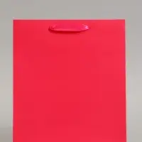 Пакет подарочный ламинированный, упаковка, &laquo;Фуксия&raquo;, ML 23&times;27&times;11.5 см