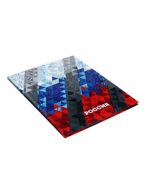 Дневник школьный для 1-11 классов, &laquo;Россия геометрия&raquo;, твёрдая обложка 7БЦ, глянцевая ламинация, 40 листов