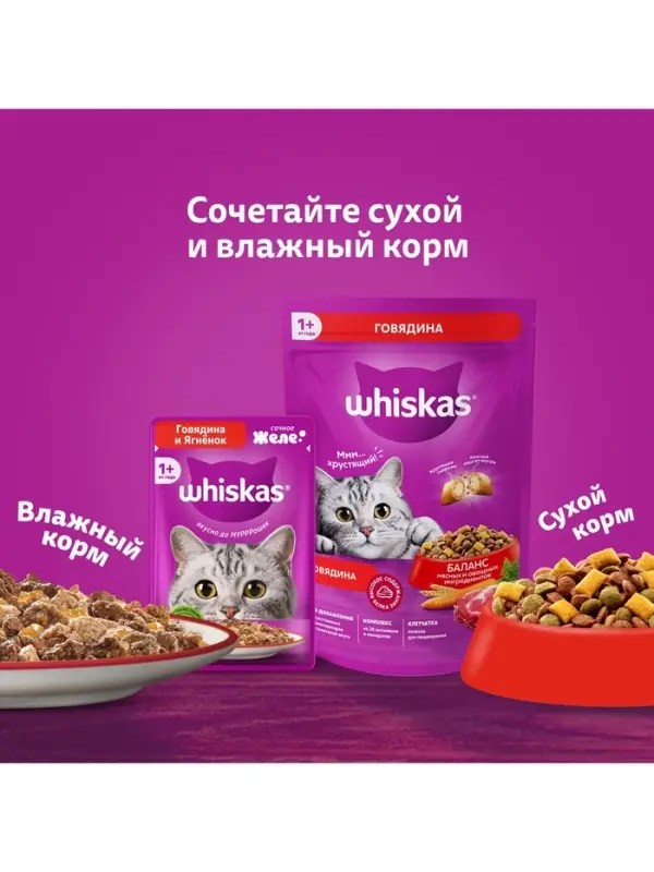 Влажный корм Whiskas для кошек, с курицей, желе, 75 г