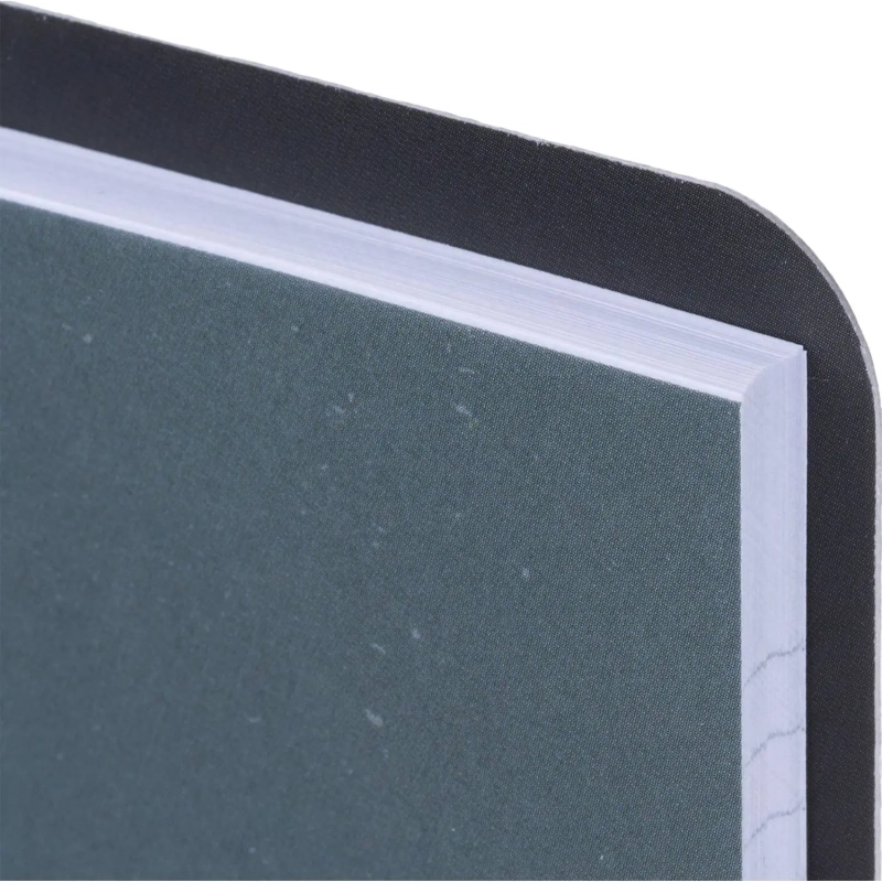 Тетрадь общая, BS, 155х212мм, 80л., клетка, кольца, Botanica, агава N4227