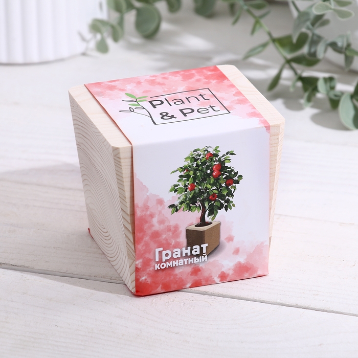 Набор для выращивания P&P Набор для выращивания P&P "Гранат комнатный"