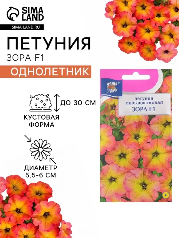 Семена цветов Петуния &laquo;Зора&raquo;, F1, 0.01 г, &laquo;Урожай Удачи&raquo;