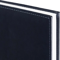 Ежедневник недатированный синий, А4, 202х272 мм, 176 л, АТТАСНЕ Каньон