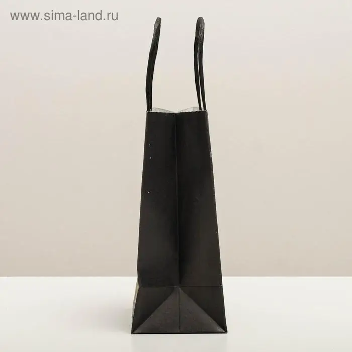 Пакет подарочный новогодний крафтовый &laquo;Еловая веточка&raquo;, 12 х 21 х 9 см