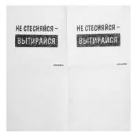 Салфетки бумажные однослойные &laquo;Не стесняйся-вытирайся&raquo;, 24&times;24 см, набор 100 шт.