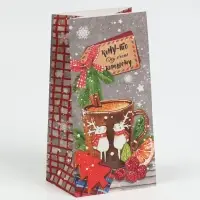 Пакет подарочный без ручек новогодний &laquo;Кому‒то ну очень хорошему&raquo;, 10&times;19.5&times;7 см