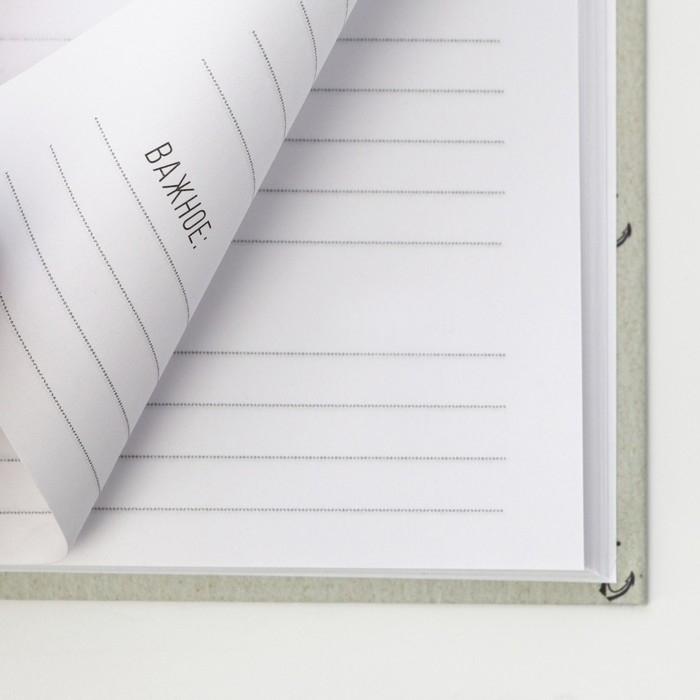 Ежедневник в твердой обложке А5, 80 л «Успех» Ежедневник в твердой обложке А5, 80 л «Успех»