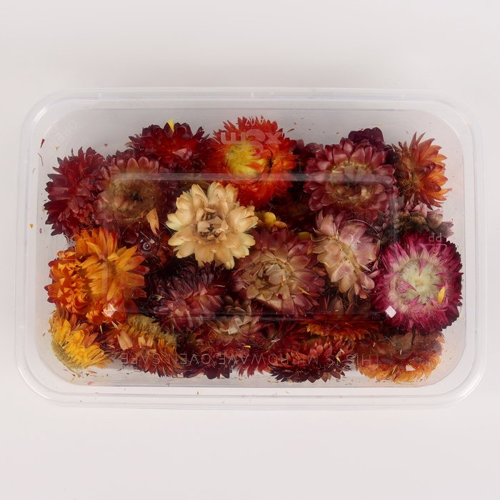 Свеча своими руками. Создание цветных свечей с цветочным декором «Краски Осени», набор для творчества Свеча своими руками. Создание цветных свечей с цветочным декором «Краски Осени», набор для творчества