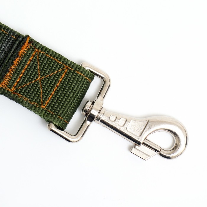 Поводок двухслойный с усиленным карабином, 3 м х 4 см, зелёный Поводок двухслойный с усиленным карабином, 3 м х 4 см, зелёный