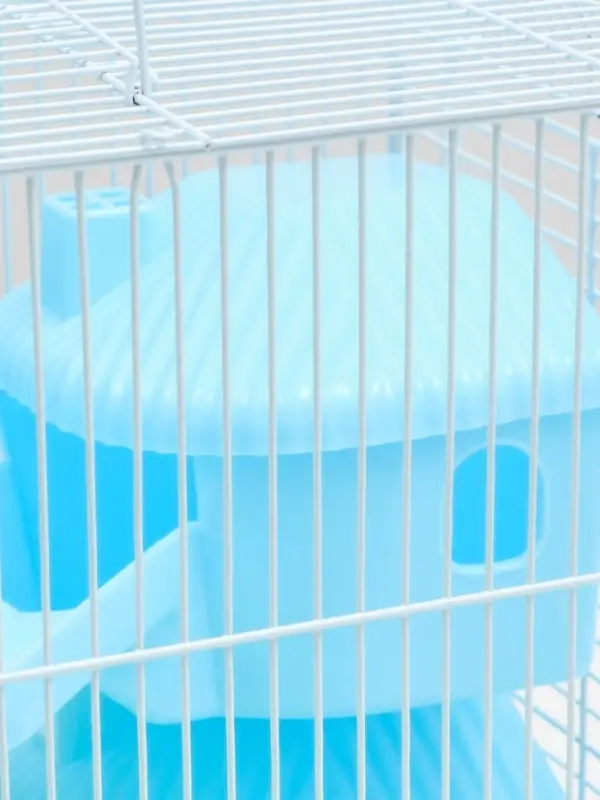 Клетка для грызунов &laquo;Пижон&raquo;, 31&times;24&times;40 см двухэтажная. с наполнением, голубая