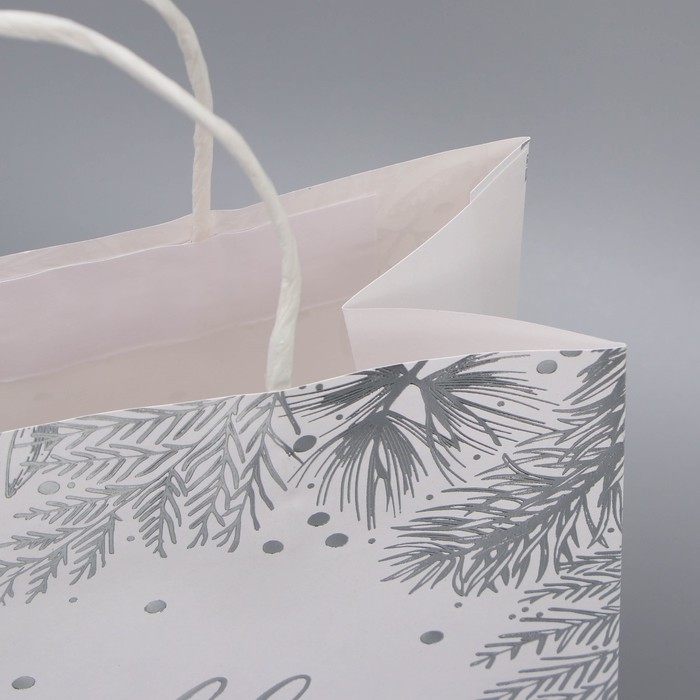 Пакет подарочный новогодний крафтовый «Серебро», 22 х 25 х 12 см, Новый год Пакет подарочный новогодний крафтовый «Серебро», 22 х 25 х 12 см, Новый год