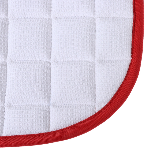 Вальтрап пони, василек Вальтрап пони, василек