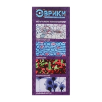 Набор биолога 6 предметов: микроскоп, 2 калейдоскопа, 2 пустых слайда, образец клеток