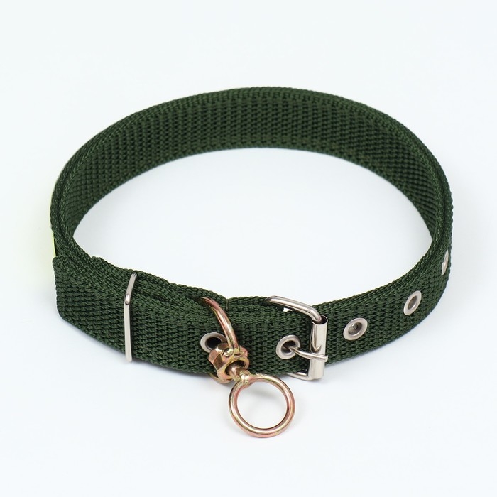 Ошейник двухслойный с вертлюгом, 3 см, зелёный Ошейник двухслойный с вертлюгом, 3 см, зелёный