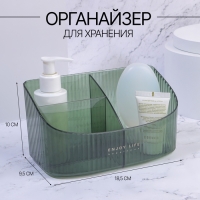 Органайзер для хранения «GREEN», 3 секции, 18,5 × 9,5 × 10 см, цвет полупрозрачный/зелёный