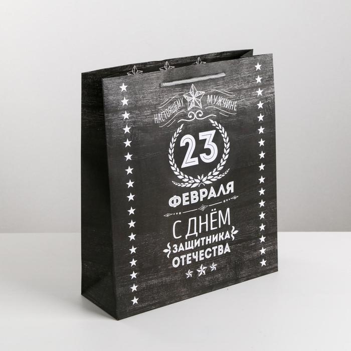 Пакет подарочный ламинированный вертикальный, упаковка, «Защитнику», MS 18 х 23 х 10 см Пакет подарочный ламинированный вертикальный, упаковка, «Защитнику», MS 18 х 23 х 10 см