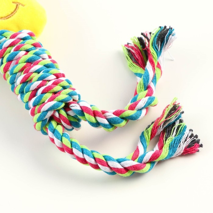 Игрушка мягкая для собак Игрушка мягкая для собак "Медведь", 28 см, жёлтая